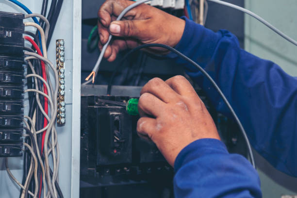 Best Electrical Repair Services  in River Rouge, MI